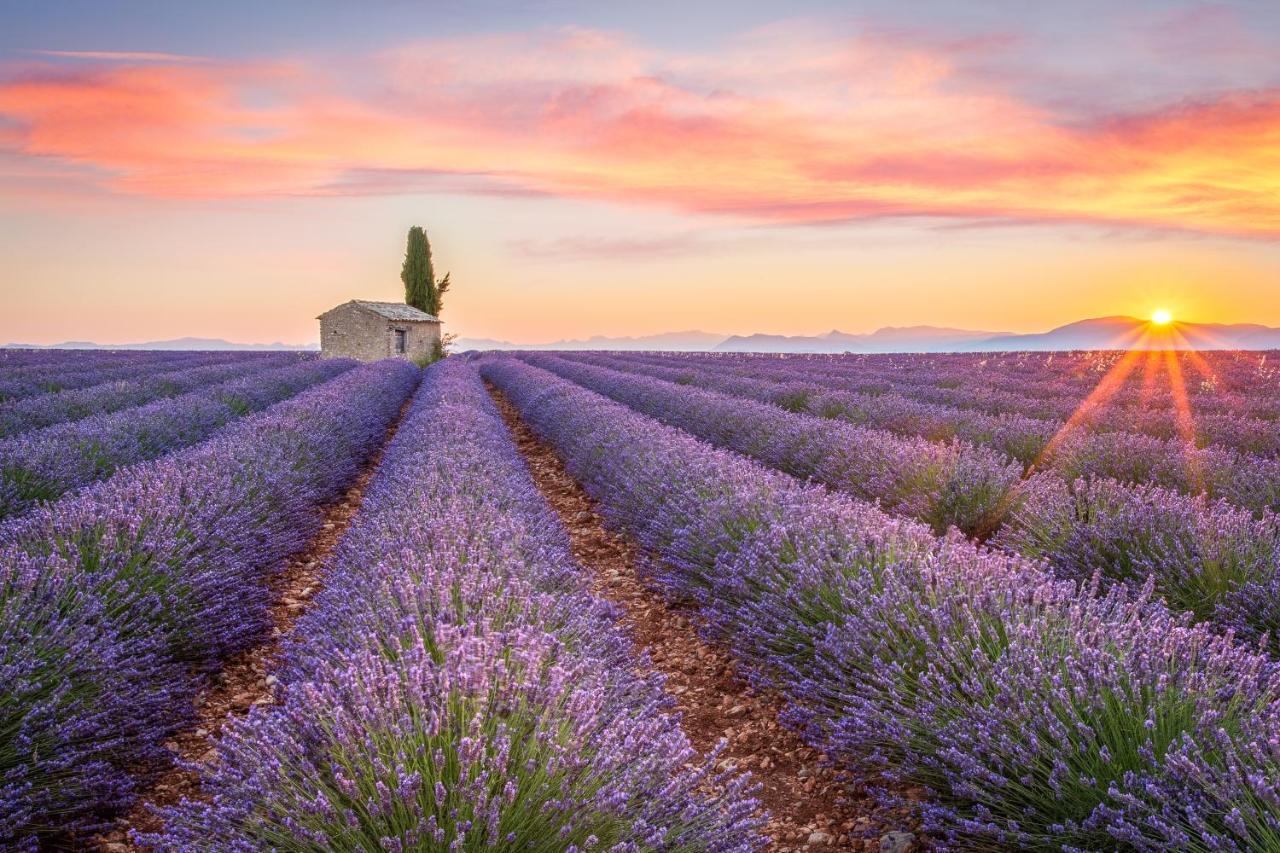 Provence Now Lejlighed Cabrières-dʼAvignon Eksteriør billede