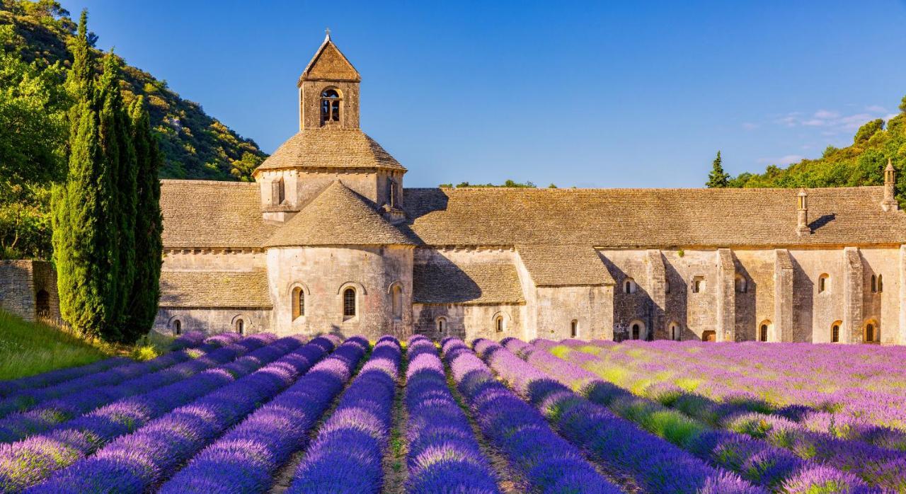Provence Now Lejlighed Cabrières-dʼAvignon Eksteriør billede