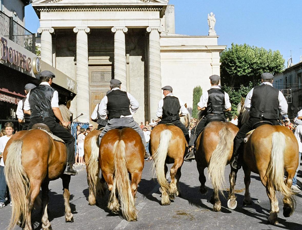 Provence Now Lejlighed Cabrières-dʼAvignon Eksteriør billede
