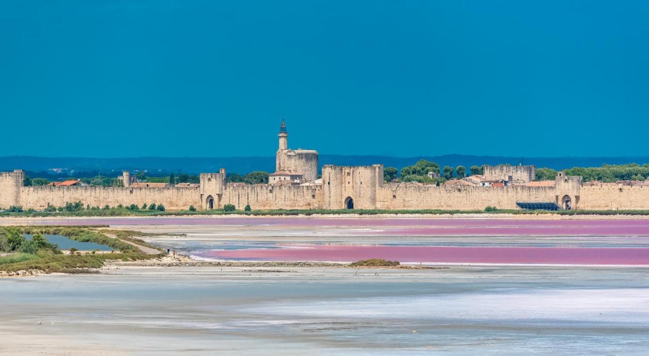 Provence Now Lejlighed Cabrières-dʼAvignon Eksteriør billede
