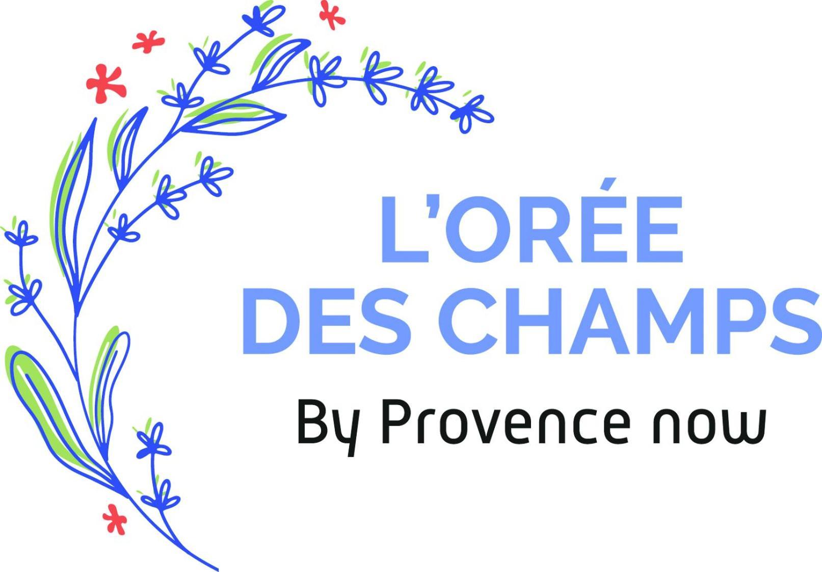 Provence Now Lejlighed Cabrières-dʼAvignon Eksteriør billede